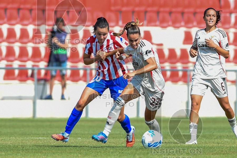 ATLÉTICO DE MADRID VS SL BENFICA