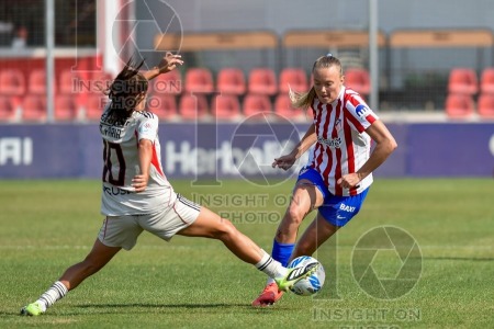 ATLÉTICO DE MADRID VS SL BENFICA