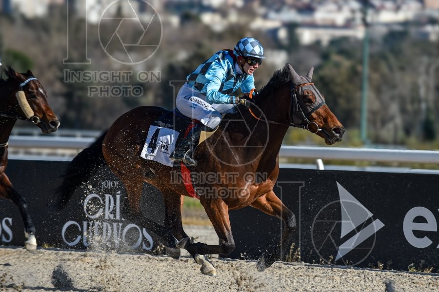 La Zarzuela racecourse