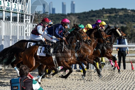 La Zarzuela racecourse