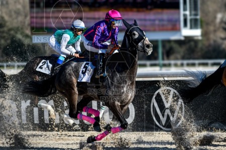 La Zarzuela racecourse
