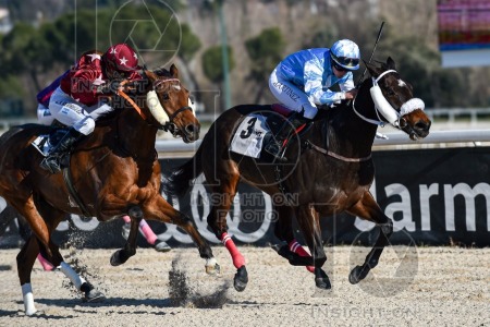 La Zarzuela racecourse