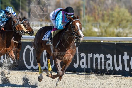 La Zarzuela racecourse