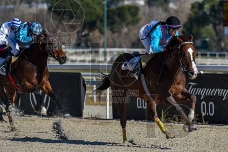 La Zarzuela racecourse