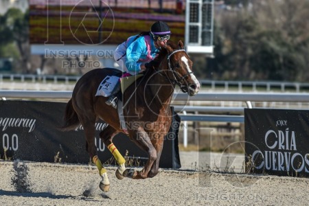 La Zarzuela racecourse