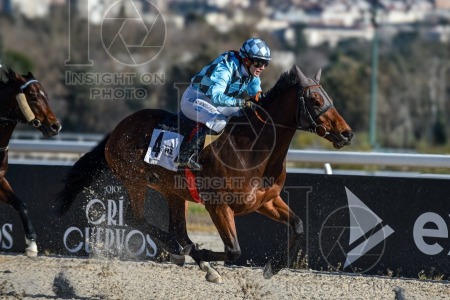 La Zarzuela racecourse