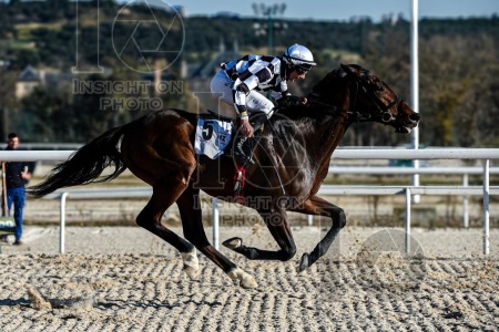 La Zarzuela racecourse