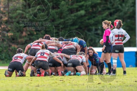 RUGBY MAJADAHONDA VS CRAT CORUÑA
