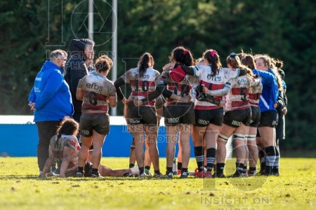 RUGBY MAJADAHONDA VS CRAT CORUÑA