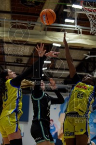 MOVISTAR ESTUDIANTES VS SPAR GRAN CANARIA