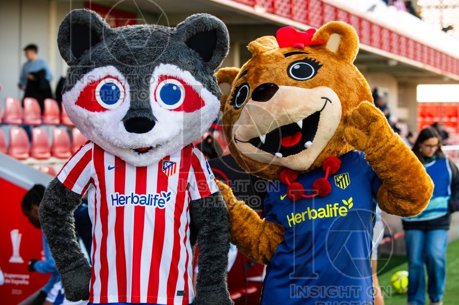 ATLÉTICO DE MADRID VS REAL SOCIEDAD