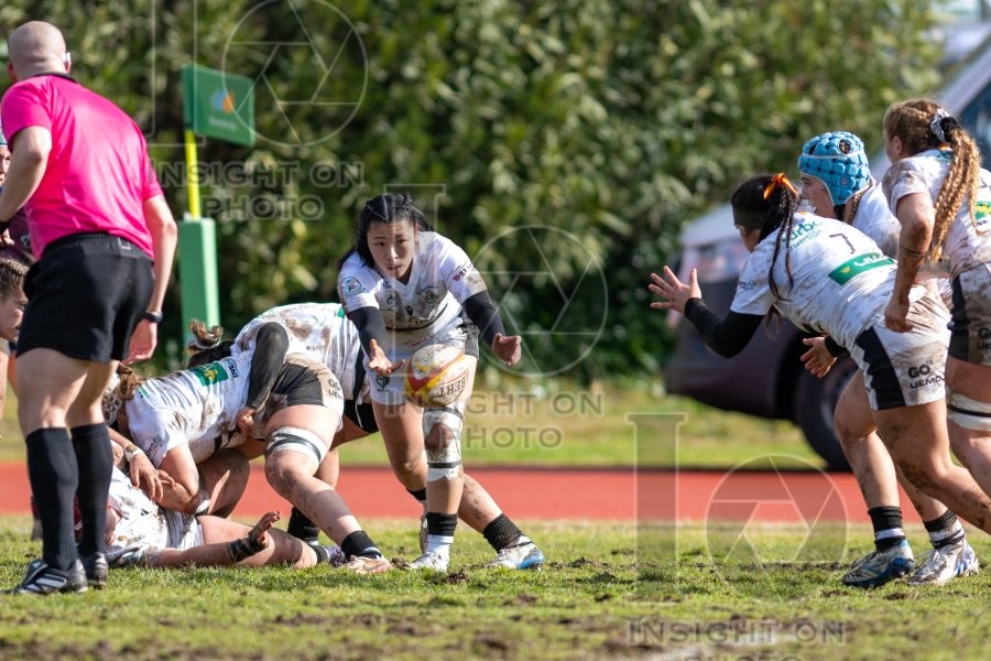 RUGBY MAJADAHONDA VS COLONIA CLINIC EL SALVADOR