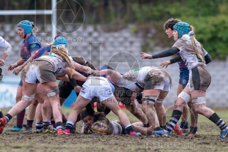 RUGBY MAJADAHONDA VS COLONIA CLINIC EL SALVADOR