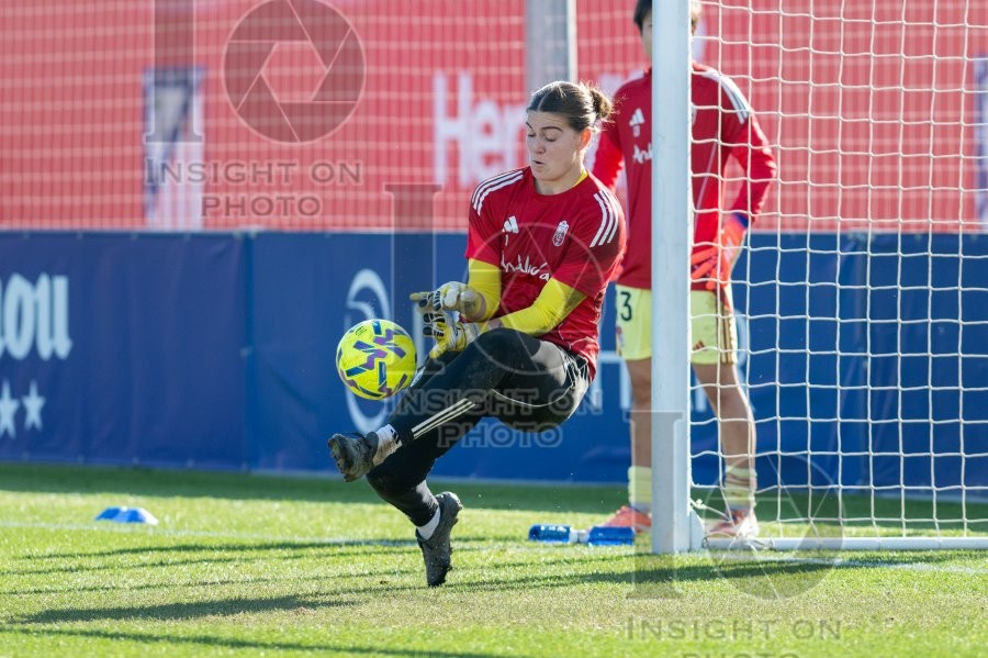 ATLÉTICO DE MADRID VS GRANADA CF