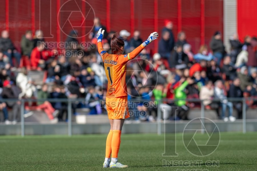 ATLÉTICO DE MADRID VS GRANADA CF