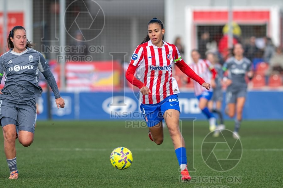 ATLÉTICO DE MADRID VS GRANADA CF