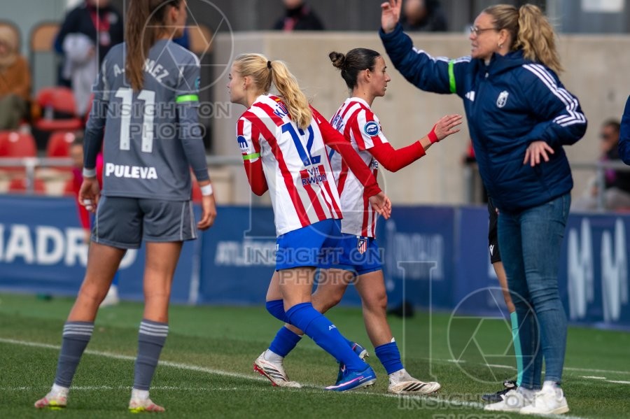 ATLÉTICO DE MADRID VS GRANADA CF