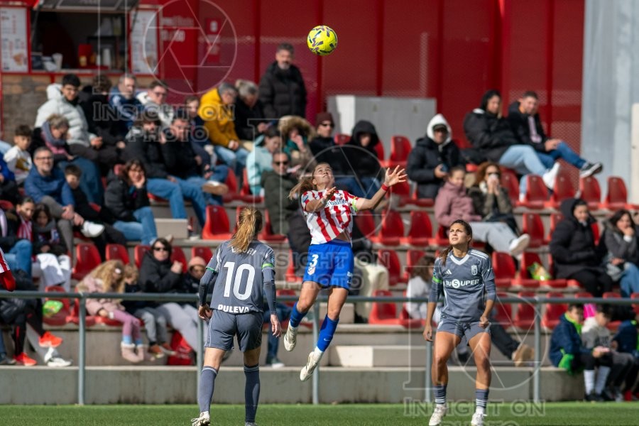 ATLÉTICO DE MADRID VS GRANADA CF