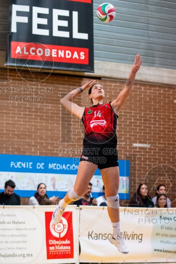 FEEL ALCOBENDAS VS TENERIFE LIBBY’S LA LAGUNA