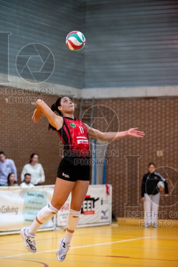 FEEL ALCOBENDAS VS TENERIFE LIBBY’S LA LAGUNA