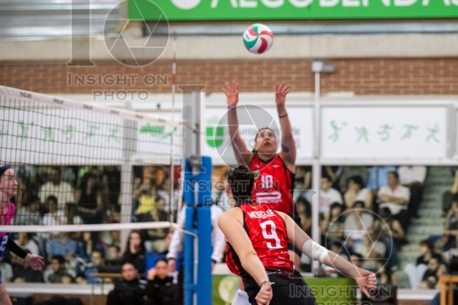 FEEL ALCOBENDAS VS TENERIFE LIBBY’S LA LAGUNA