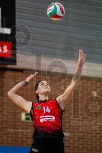 FEEL ALCOBENDAS VS TENERIFE LIBBY’S LA LAGUNA